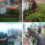 Claire fotóz... pechemre Csaba is. :D