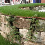 Diák - Varga Márton