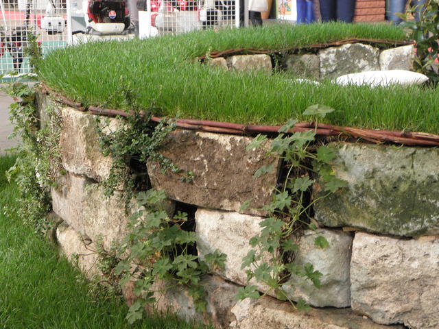 Diák - Varga Márton