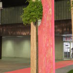 Diák - Magyar Gyula