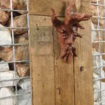 Az ominózus "Jézus-szobor" :D