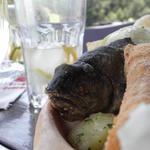 The Big Fish is watching you!