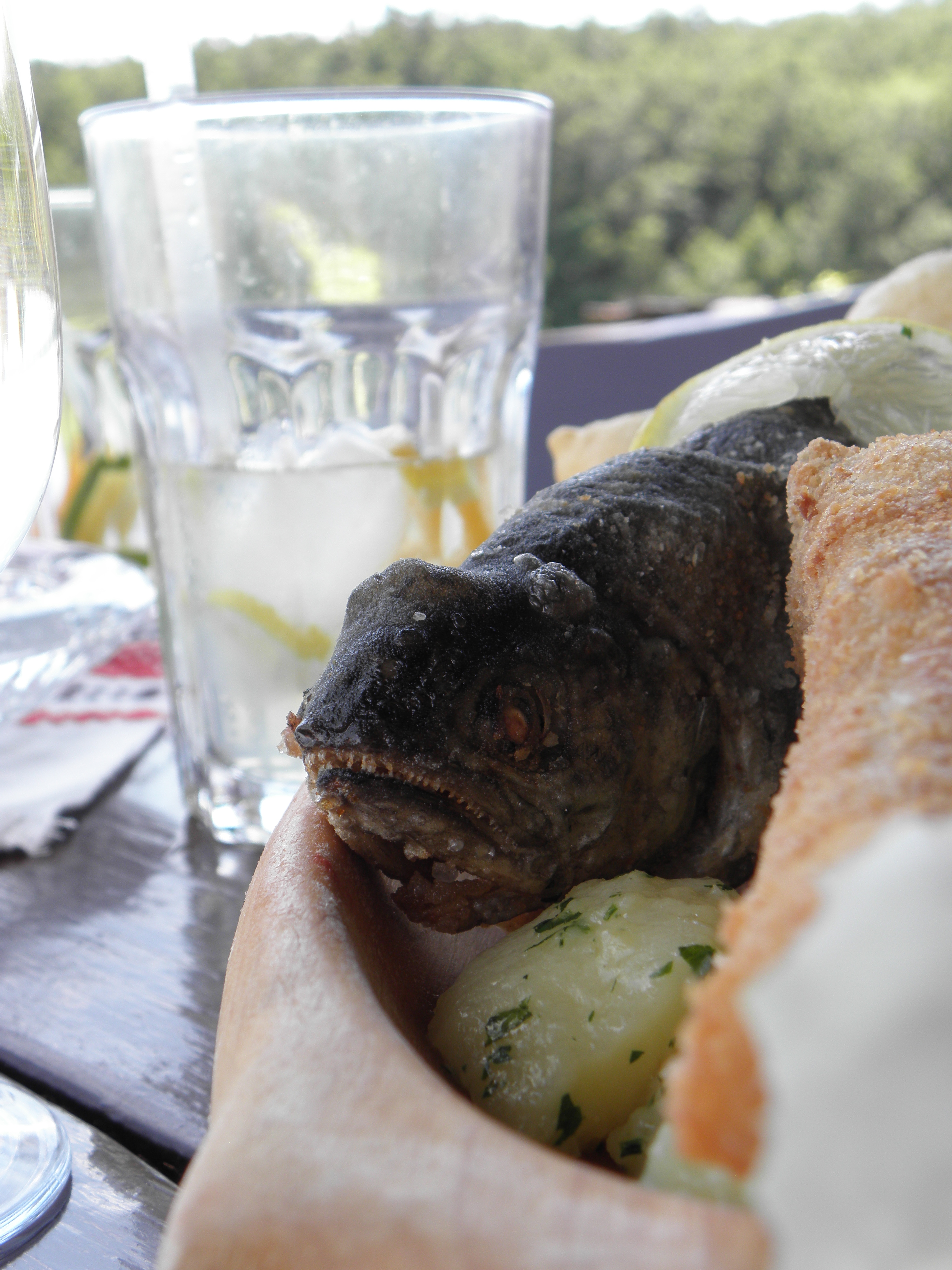 The Big Fish is watching you!