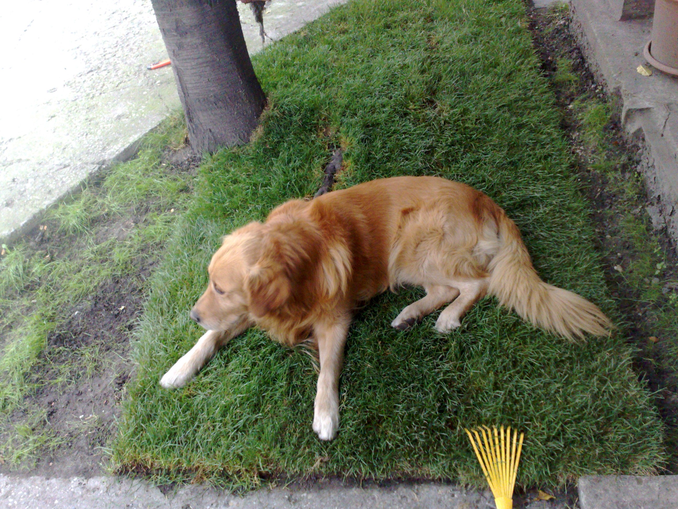 20100925793.jpg