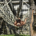 P7010137 m_solata.JPG