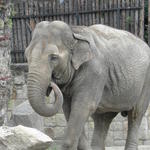 P7010167 m_solata.JPG