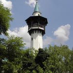 P7010141 m_solata.JPG