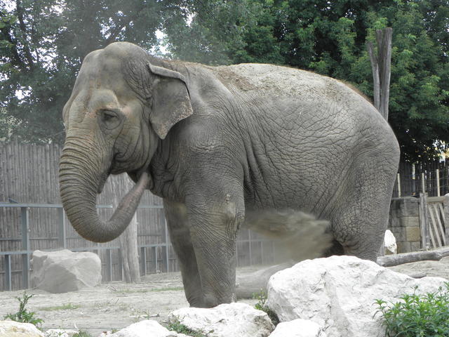 P7010179 m_solata.JPG