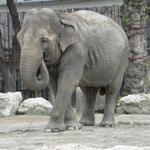 P7010172 m_solata.JPG