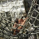 P7010139 m_solata.JPG