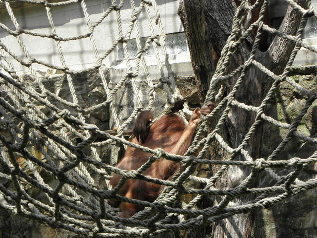 P7010139 m_solata.JPG