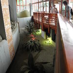 P7010192 m_solata.JPG