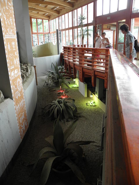 P7010192 m_solata.JPG