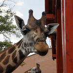 P7010219 m_solata.JPG