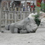 P7010187 m_solata.JPG