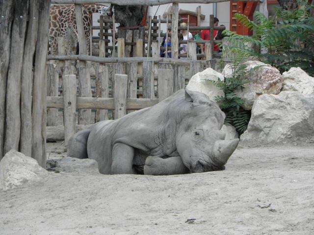 P7010187 m_solata.JPG