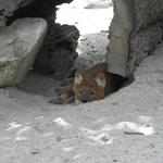 P7010247 m_solata.JPG