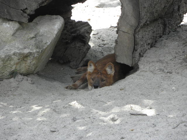 P7010247 m_solata.JPG