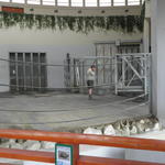 P7010189 m_solata.JPG