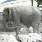 P7010182 m_solata.JPG