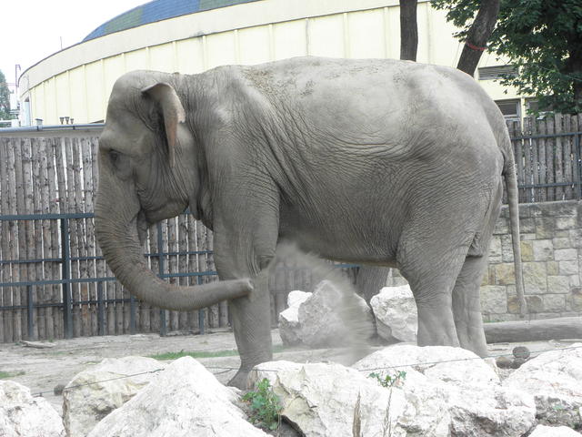 P7010182 m_solata.JPG