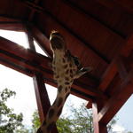 P7010232 m_solata.JPG