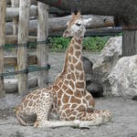 P7010216 m_solata.JPG