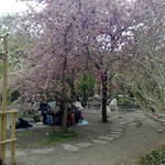 201104161332.jpg