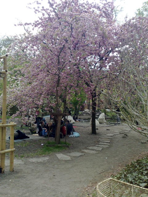 201104161332.jpg