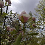 201104161337.jpg