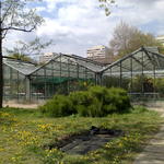 201104161353.jpg