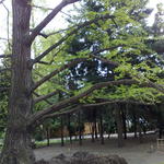 201104161341.jpg