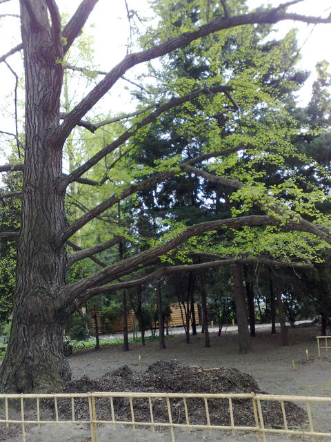 201104161341.jpg