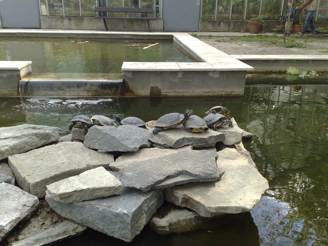 201104161357.jpg