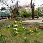 201104161344.jpg