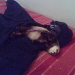 A fetrengés nagymestere! :)