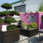 Kertépítő verseny 2009